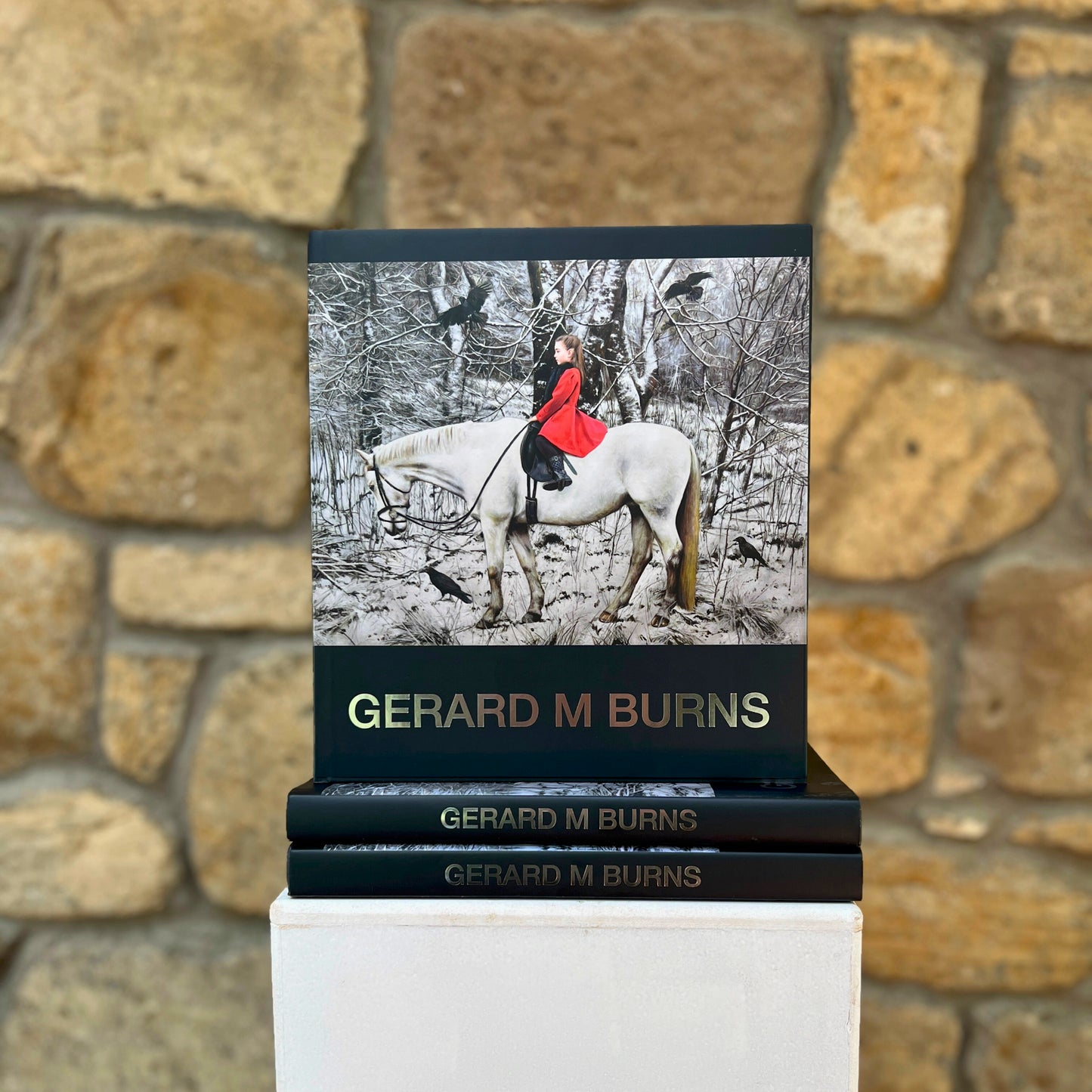 Gerard M Burns Book