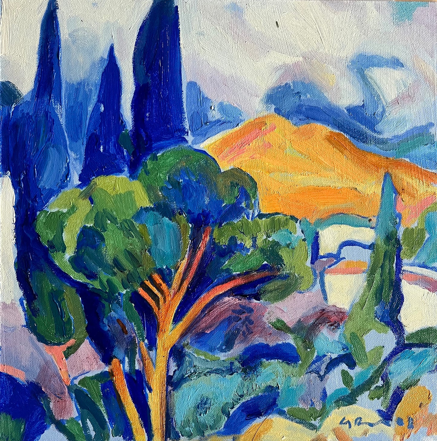 Andalusian Landscape Study