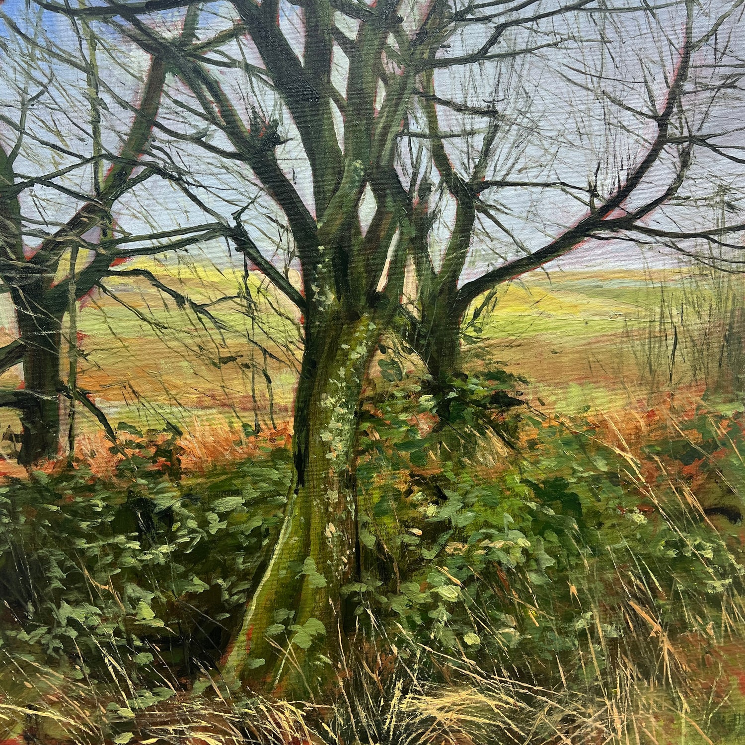 Studies and Landscapes
