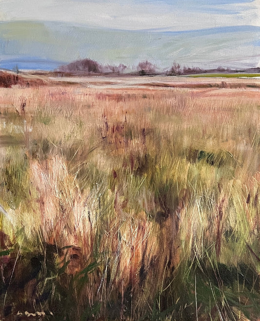 A Scottish Landscape Study (0810)
