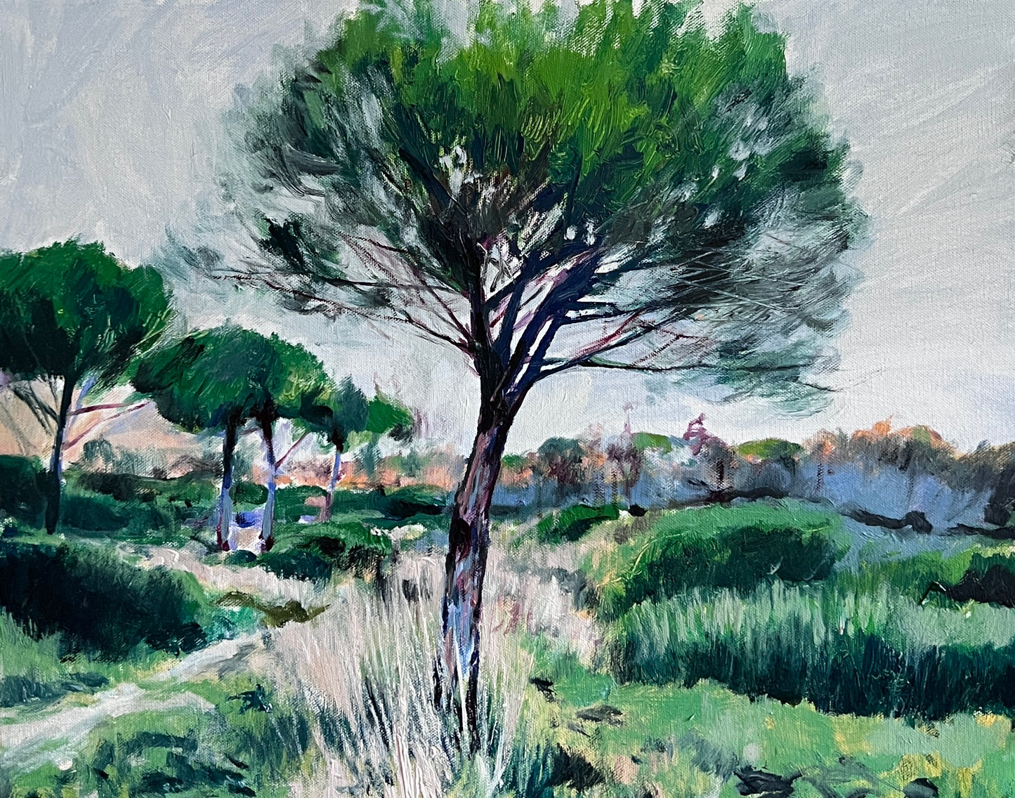 Landscape Study with Trees (0812)