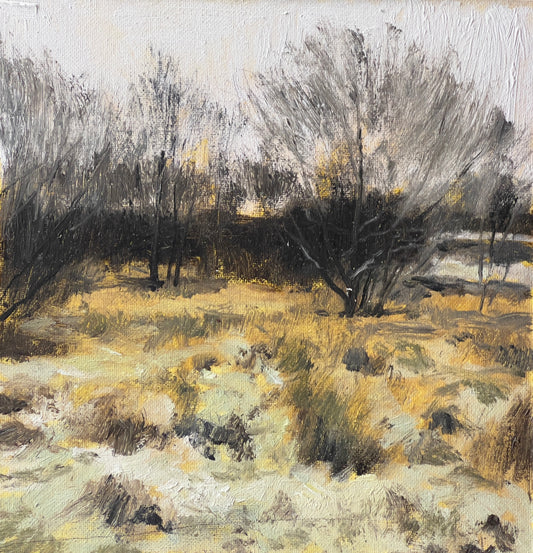 Landscape Study 1