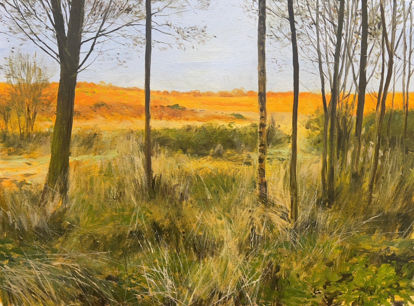 Towards Croy Hill Study