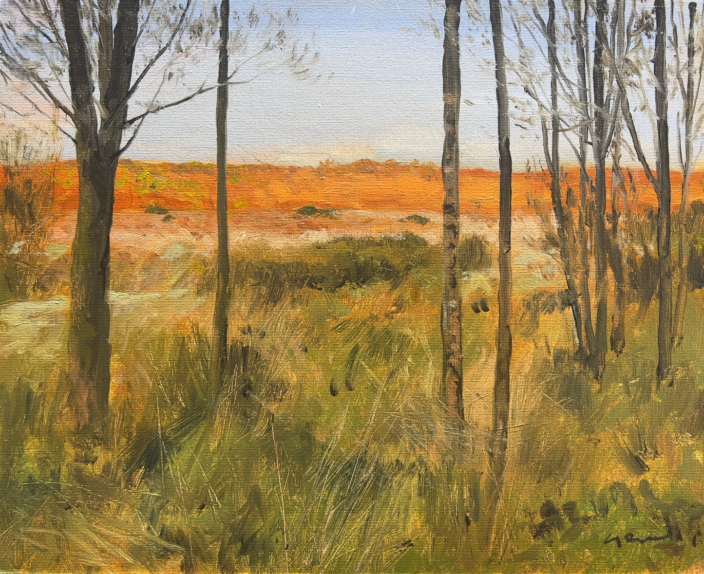 Landscape Study