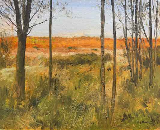 Landscape Study