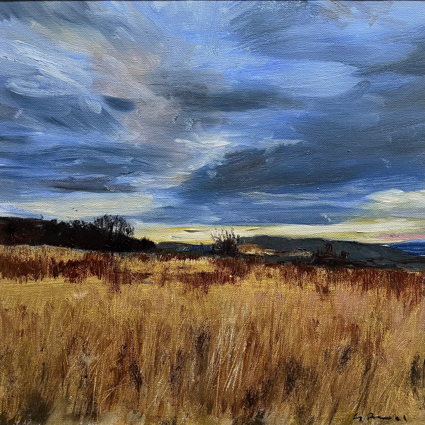 Landscape Study 2
