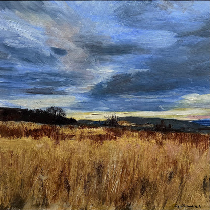 Landscape Study 2