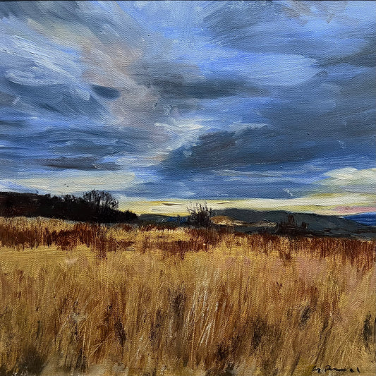 Landscape Study 2
