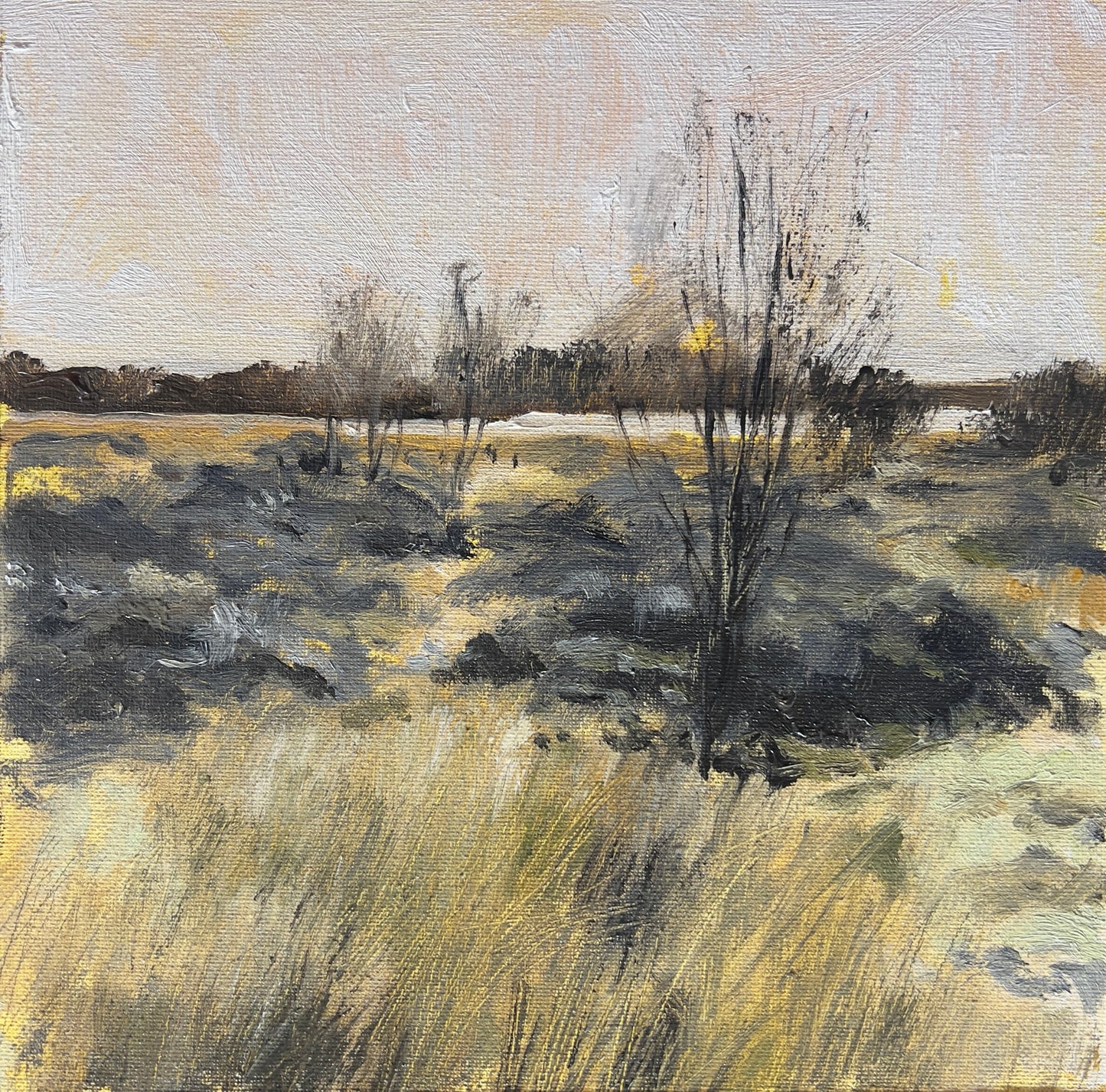 Landscape Study 3