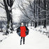 Red Coat in a Winters Landscape